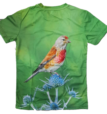 Camiseta Pardillo 3D