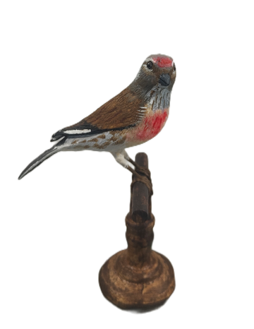 Figura Pardillo en peana