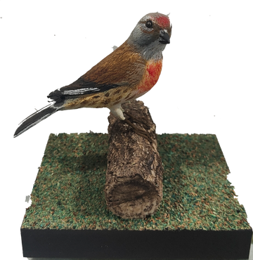 Figura de Pardillo en tronco