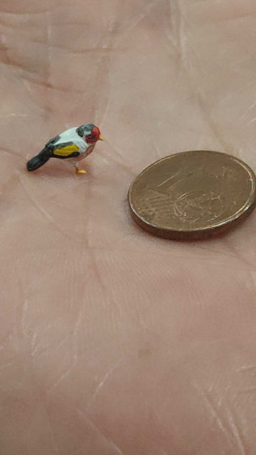 Jilguero Miniatura