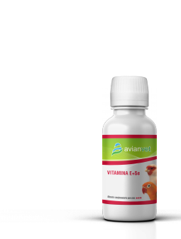 Vitamina E + Selenio Avianvet 100ml