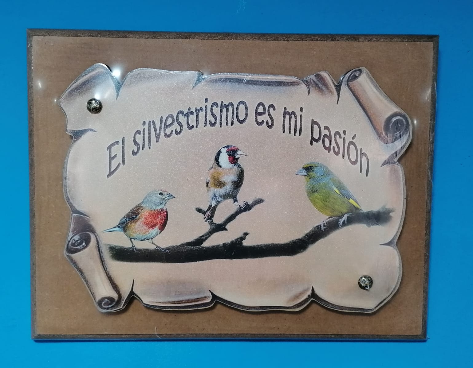 Cuadro "El Silvestrismo es mi Pasión"