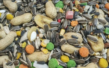 Mixtura de Loros con Pipas Disfa