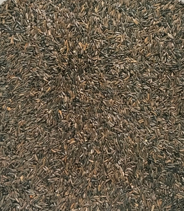 Negrillo Alta Germinación Disfa