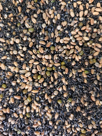 Mixtura Germinación Bianco No Dore