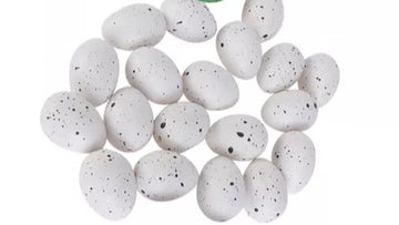 Huevos plásticos Cardenalitos y Jilgueros