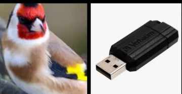 Pendrive para educar