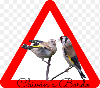 Adhesivo Bebé a Bordo