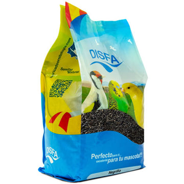 Negrillo Disfa