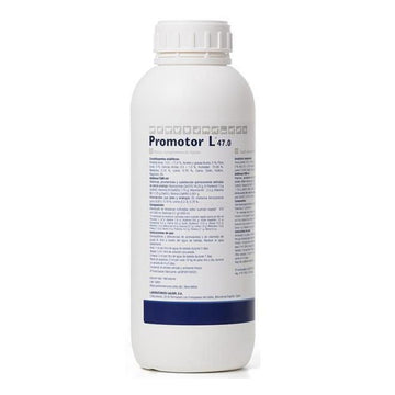 Promotor L