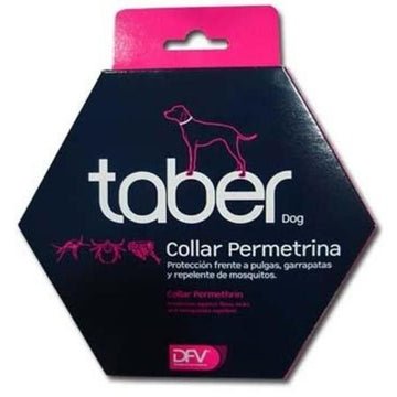 Taber Dog