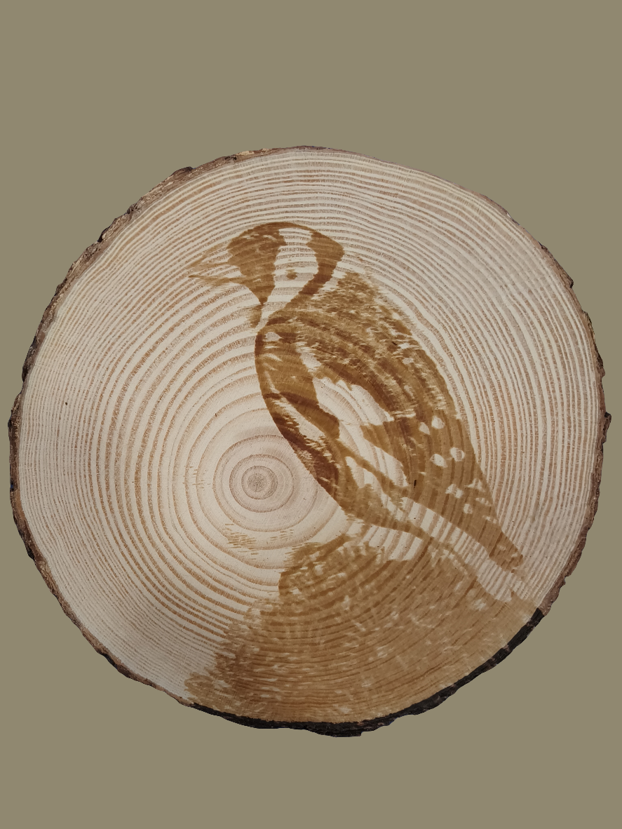 Madera con Grabado de Jilguero