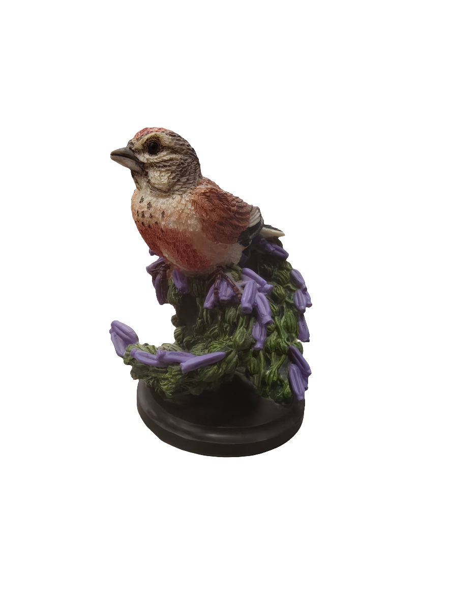 Figura Pardillo Linnet