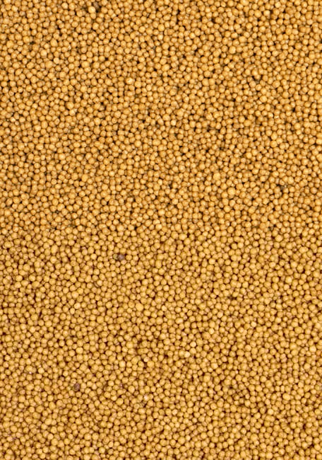 Serinus Microspheras  25/18 1Kg