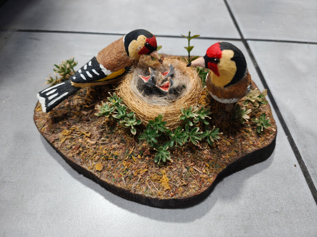 Centro de Mesa Pareja de Jilgueros con Nido