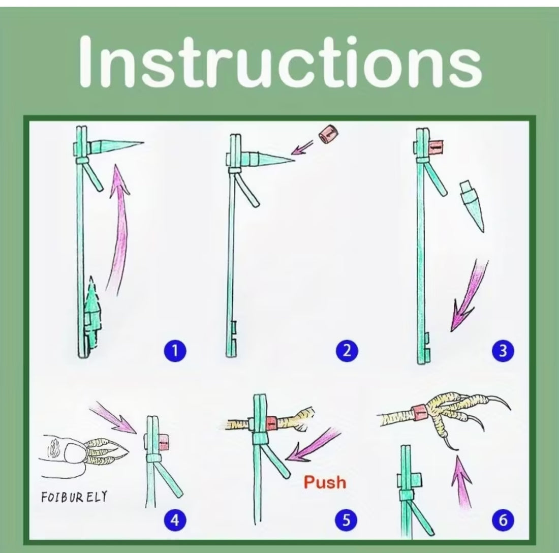 20 Anillas Numeradas