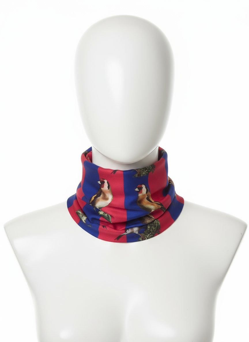 Braga para el Cuello