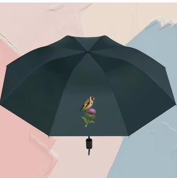 Paraguas Jilguero o Verderón
