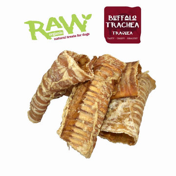 Fresh Raw tráquea de búfalo deshidratada. Bolsa de 1 Unidad