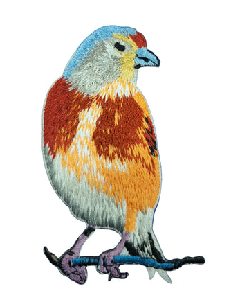 Parche Pardillo Térmico