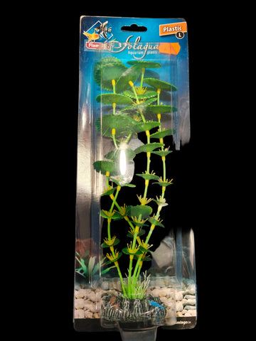 Plantas Especiales para acuario