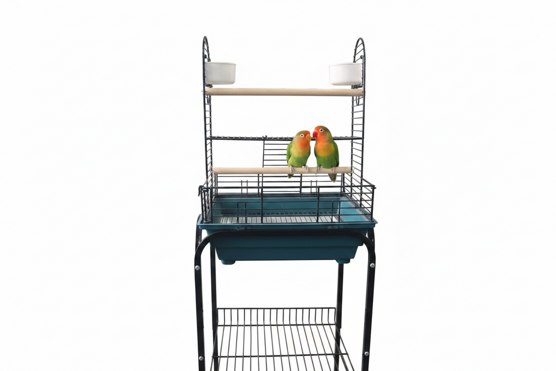 Parque de Juegos para pájaros IMOR