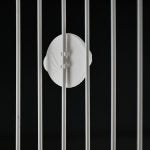 Números para Jaulas Ibicanary