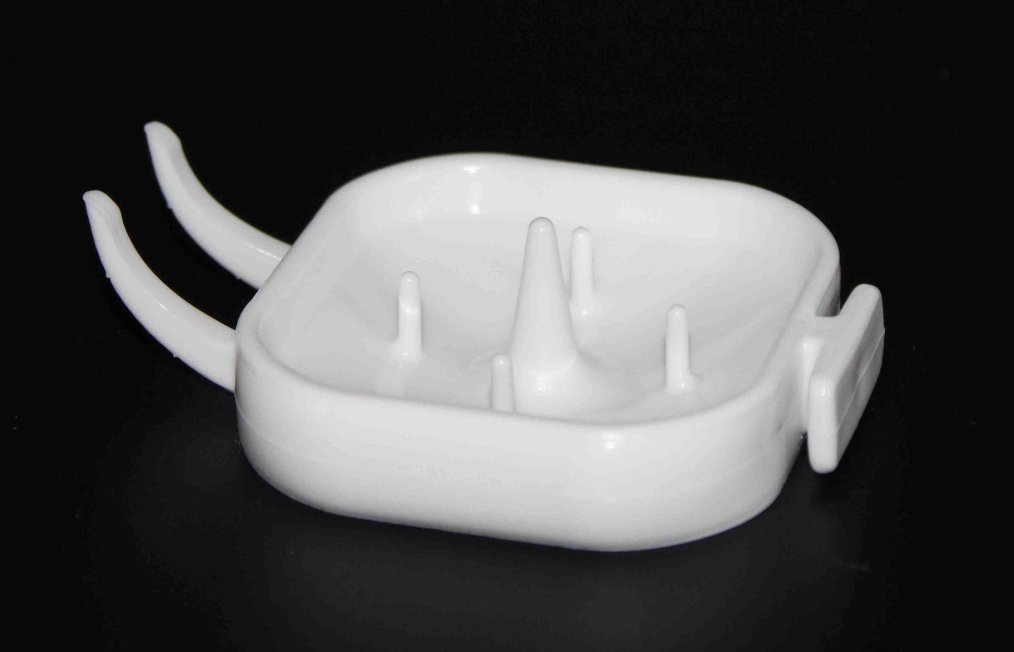 Frutero Floren de Moldes Ave